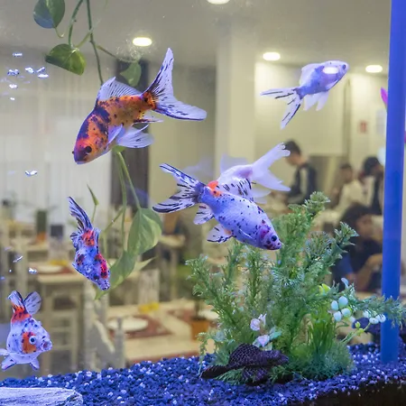 Victoria 滨海略雷特