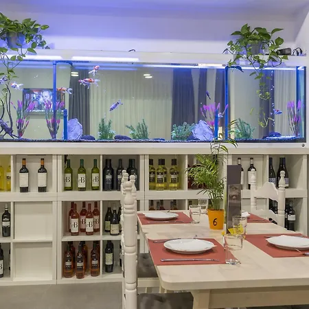 Hotel Hotel Victoria 3*