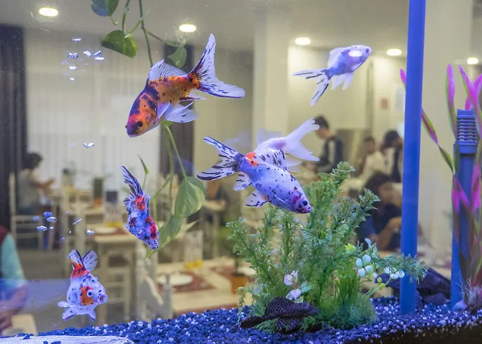 Victoria 滨海略雷特